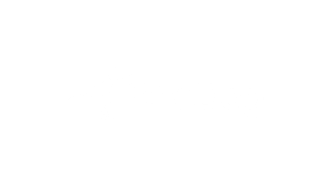 Logo birddog