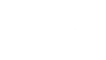 Logo Martin